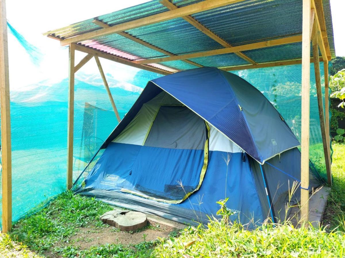 La Fortuna Rustico Arenal B&B מראה חיצוני תמונה