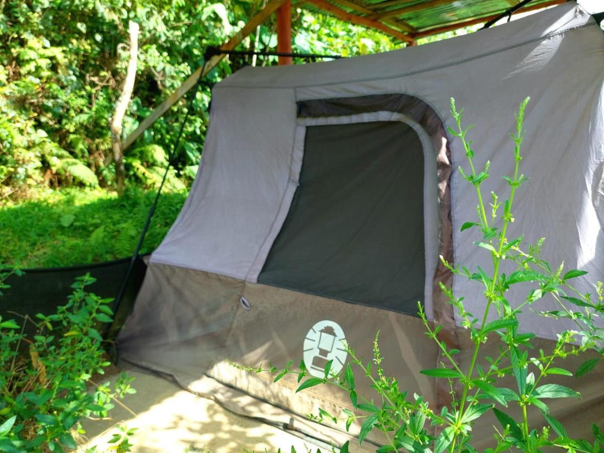 La Fortuna Rustico Arenal B&B מראה חיצוני תמונה
